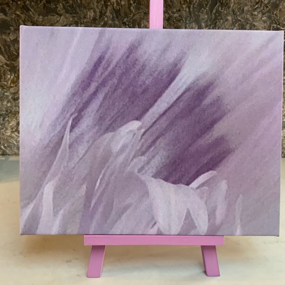 ARTISAN Photography of Ornamental Breadseed Poppy on Canvas Picture Taken by me - Picture 3 of 8